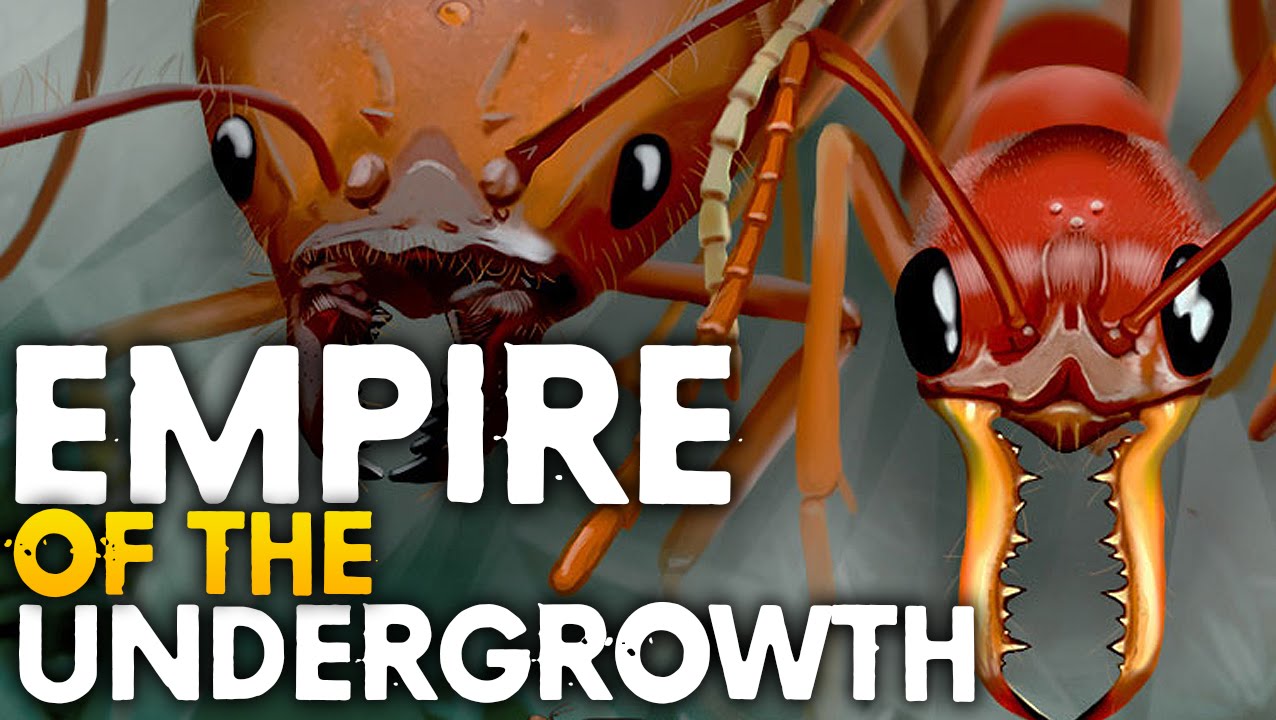 Empires Of The Undergrowth